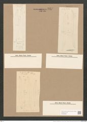 Pleurosigma var. acutiusculum Grun. (de-Toni-Nr.: Genus 13, Species 1076) Zeichnungen Sammlung Grunow Nr. 1954 (NHMW-BOT-W0369095)